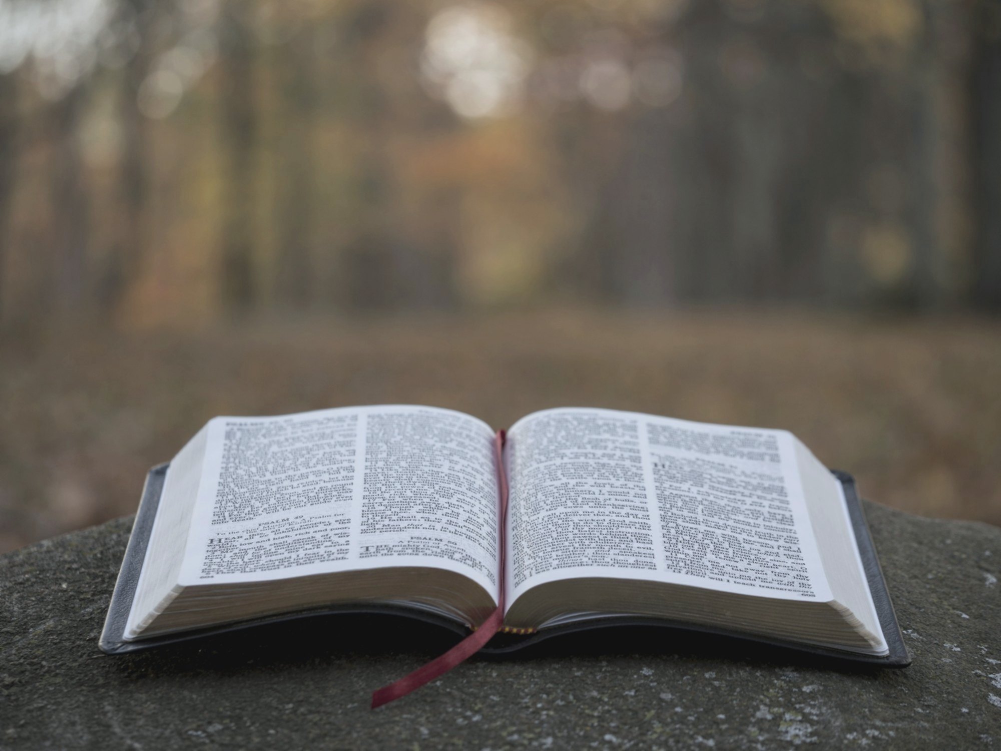 Open Bible resting on a rock outdoors, open to the Psalms